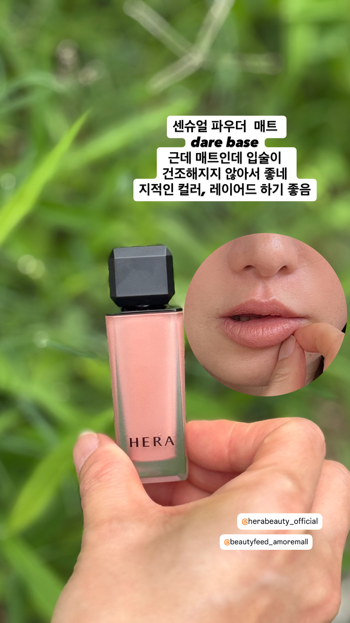 피드이미지정보-5