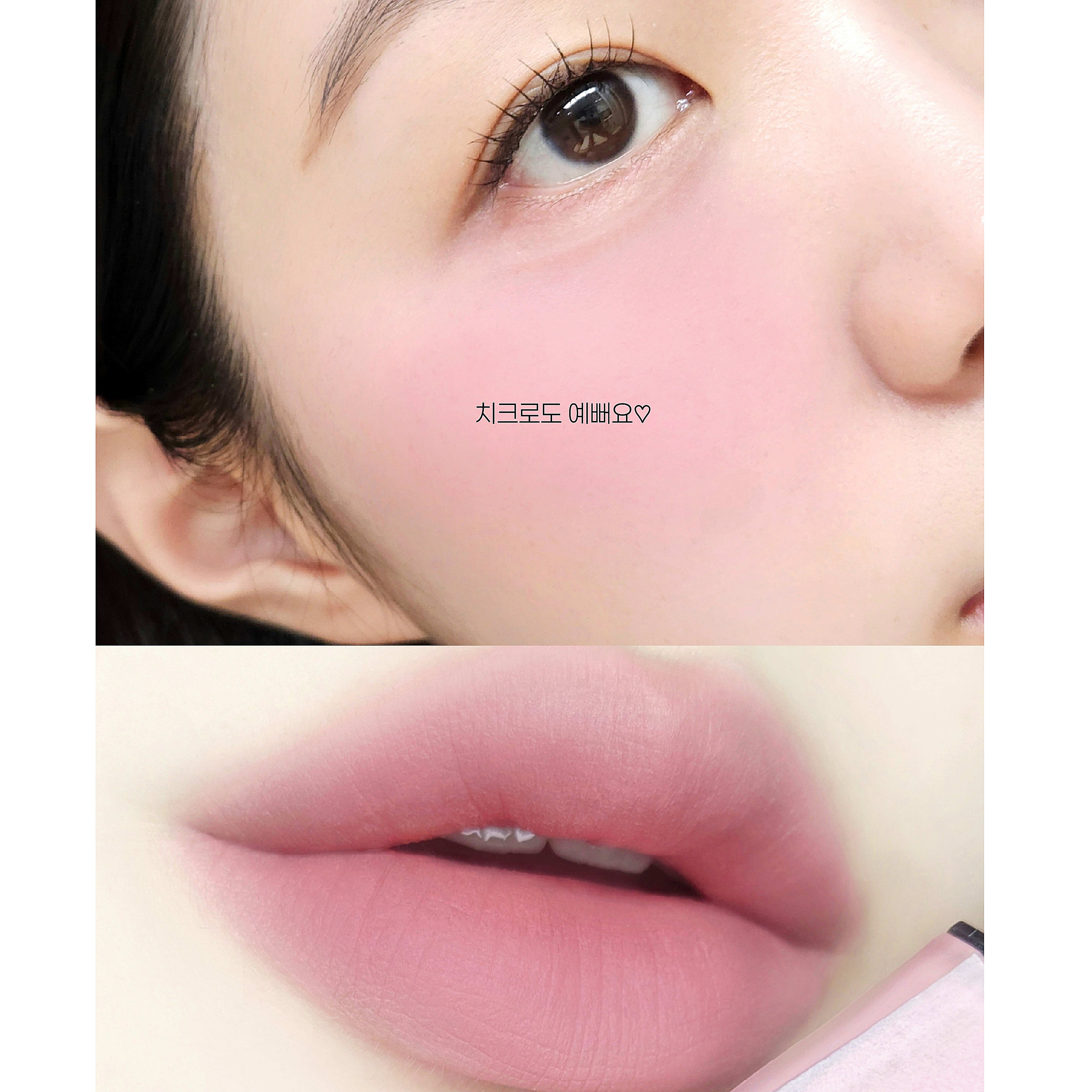 피드이미지정보-3