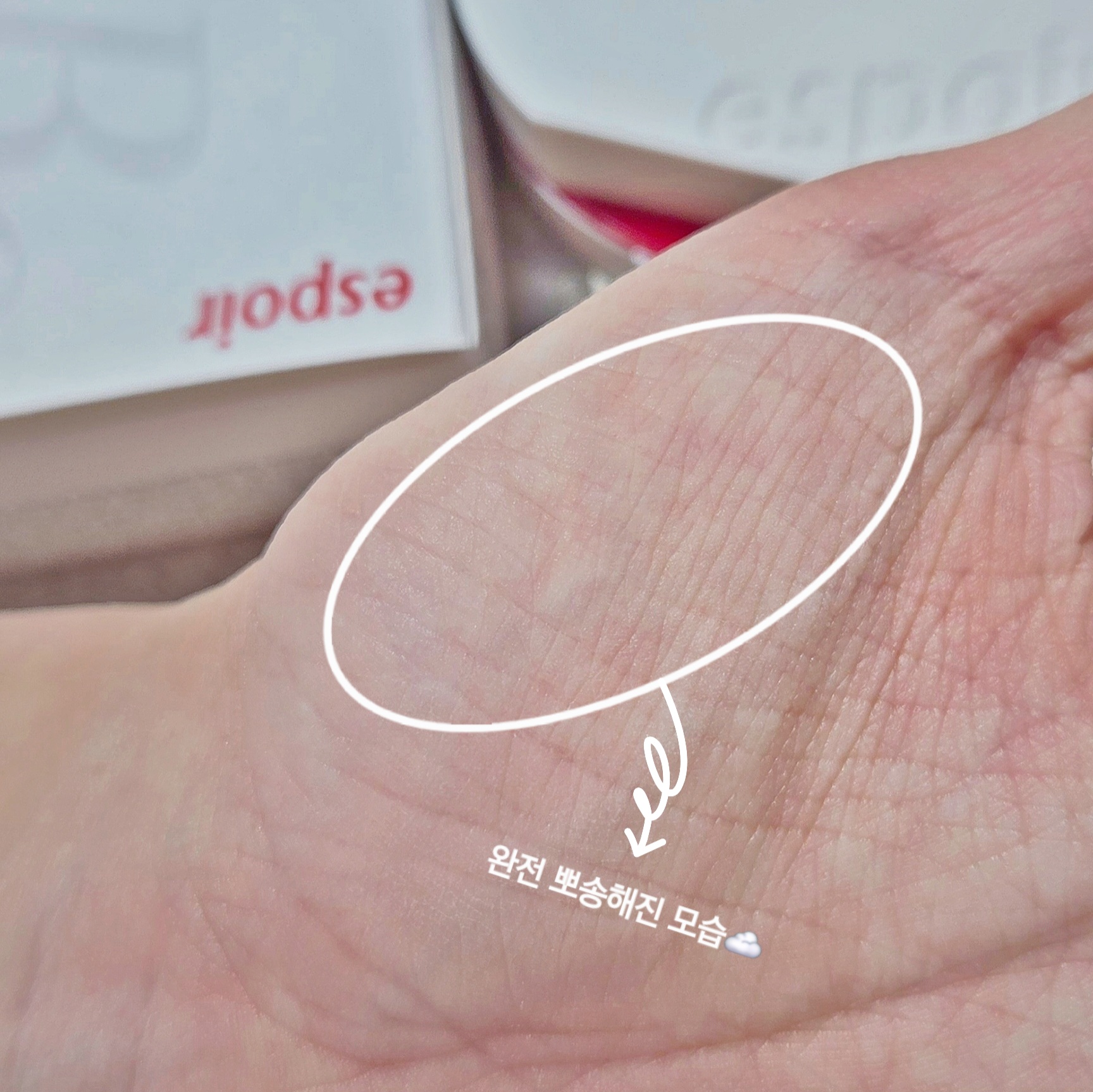 피드이미지정보-6