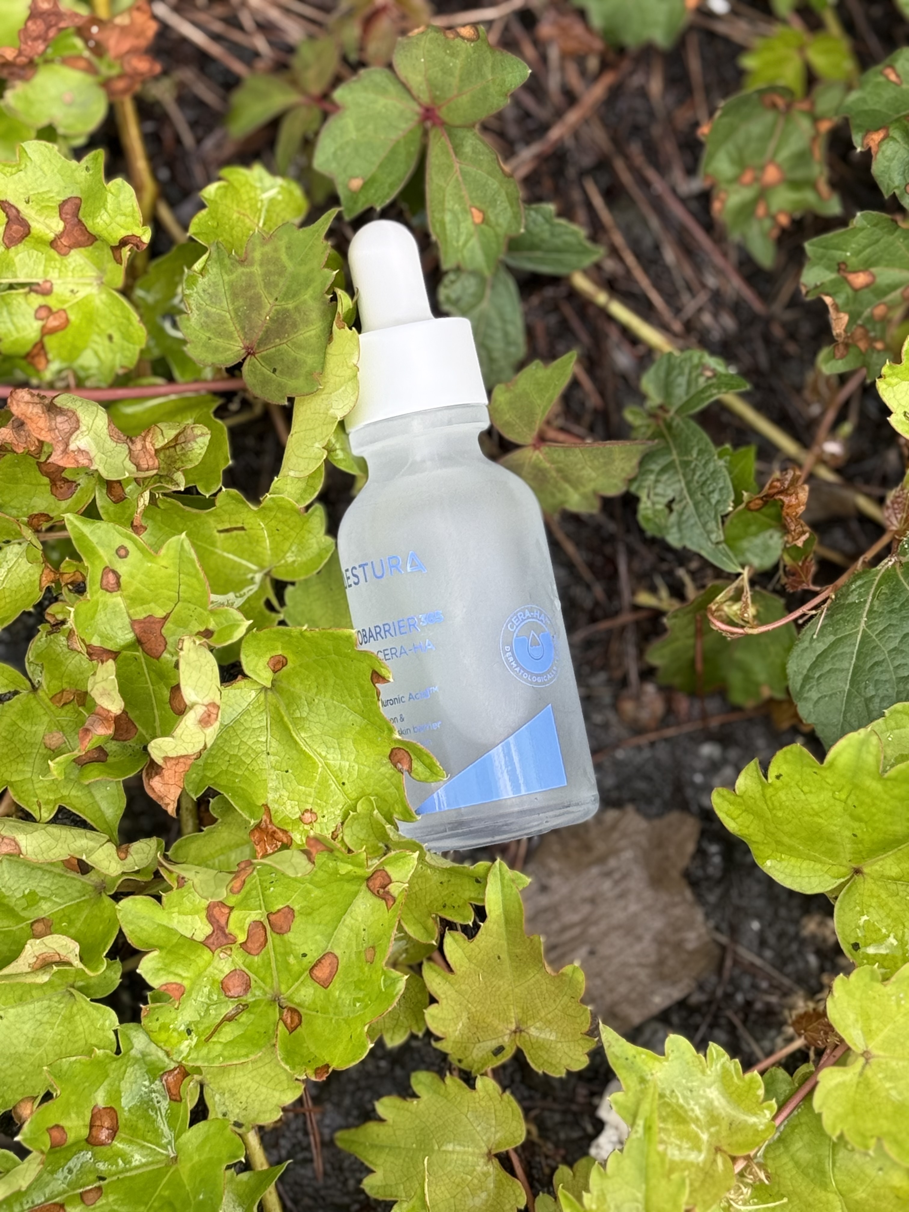 피드이미지정보-3