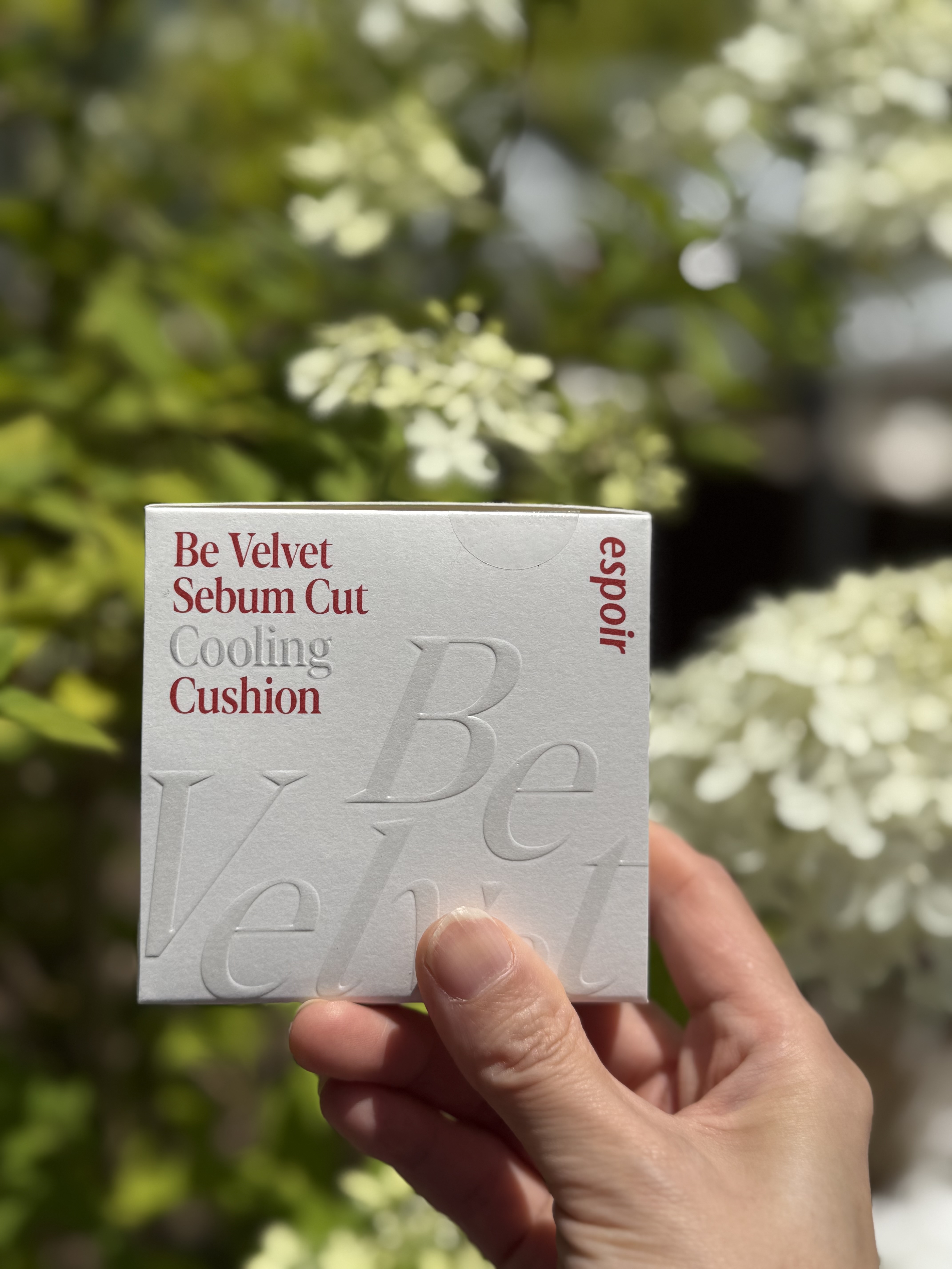 피드이미지정보-2