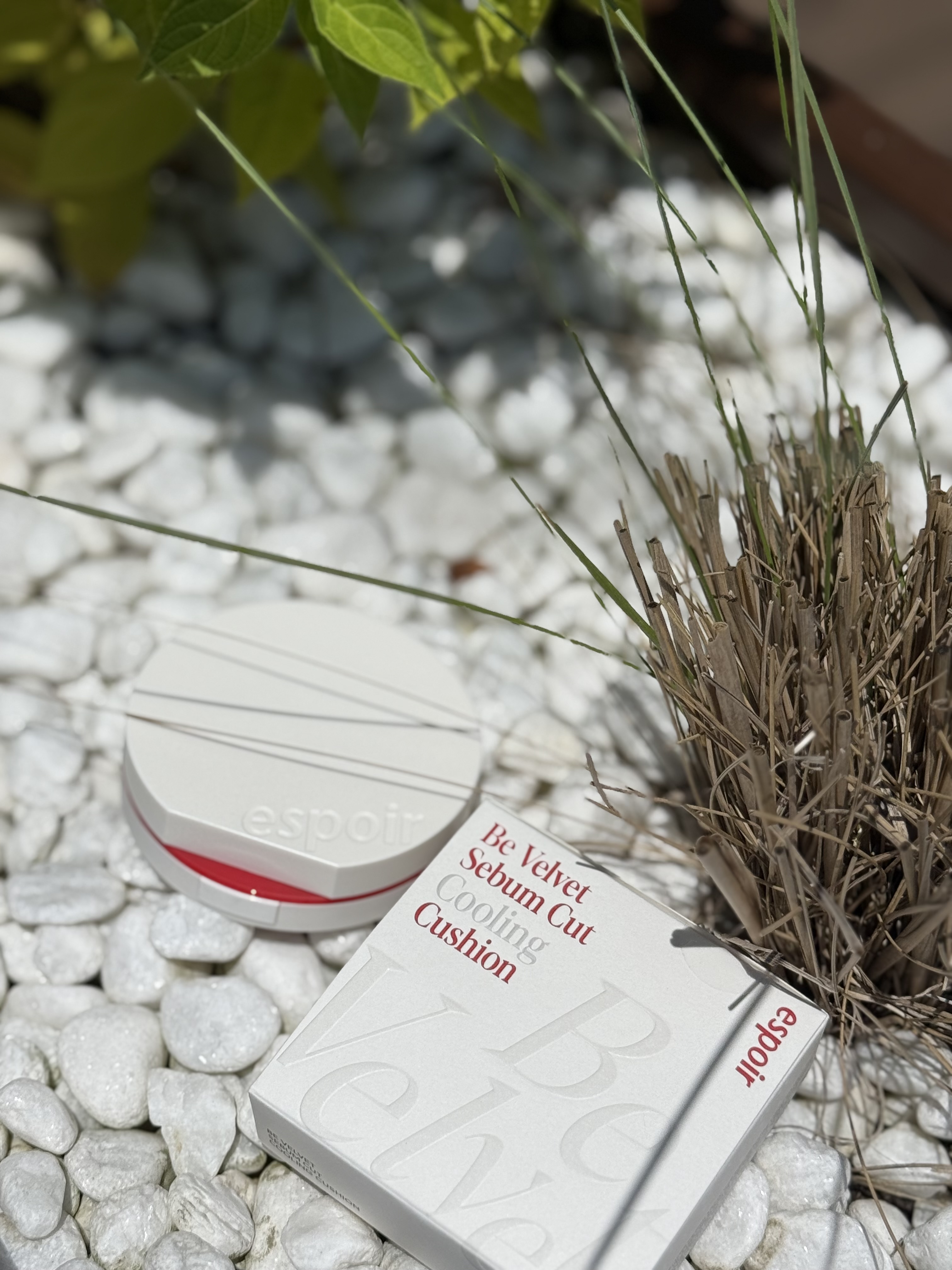 피드이미지정보-1