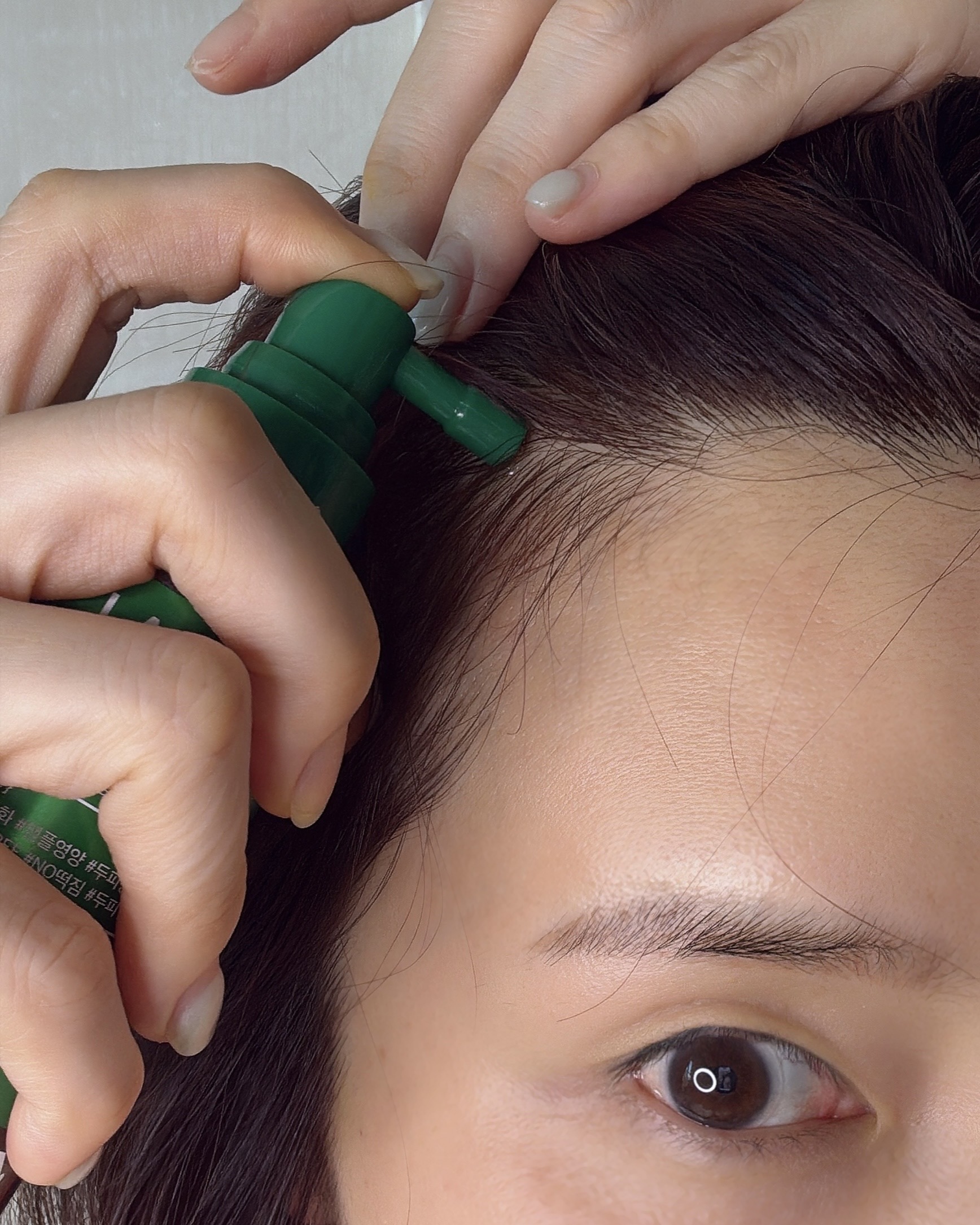 피드이미지정보-4