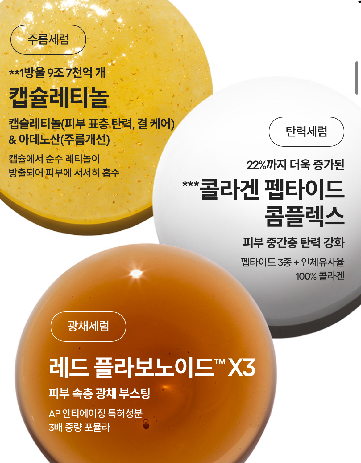 피드이미지정보-6