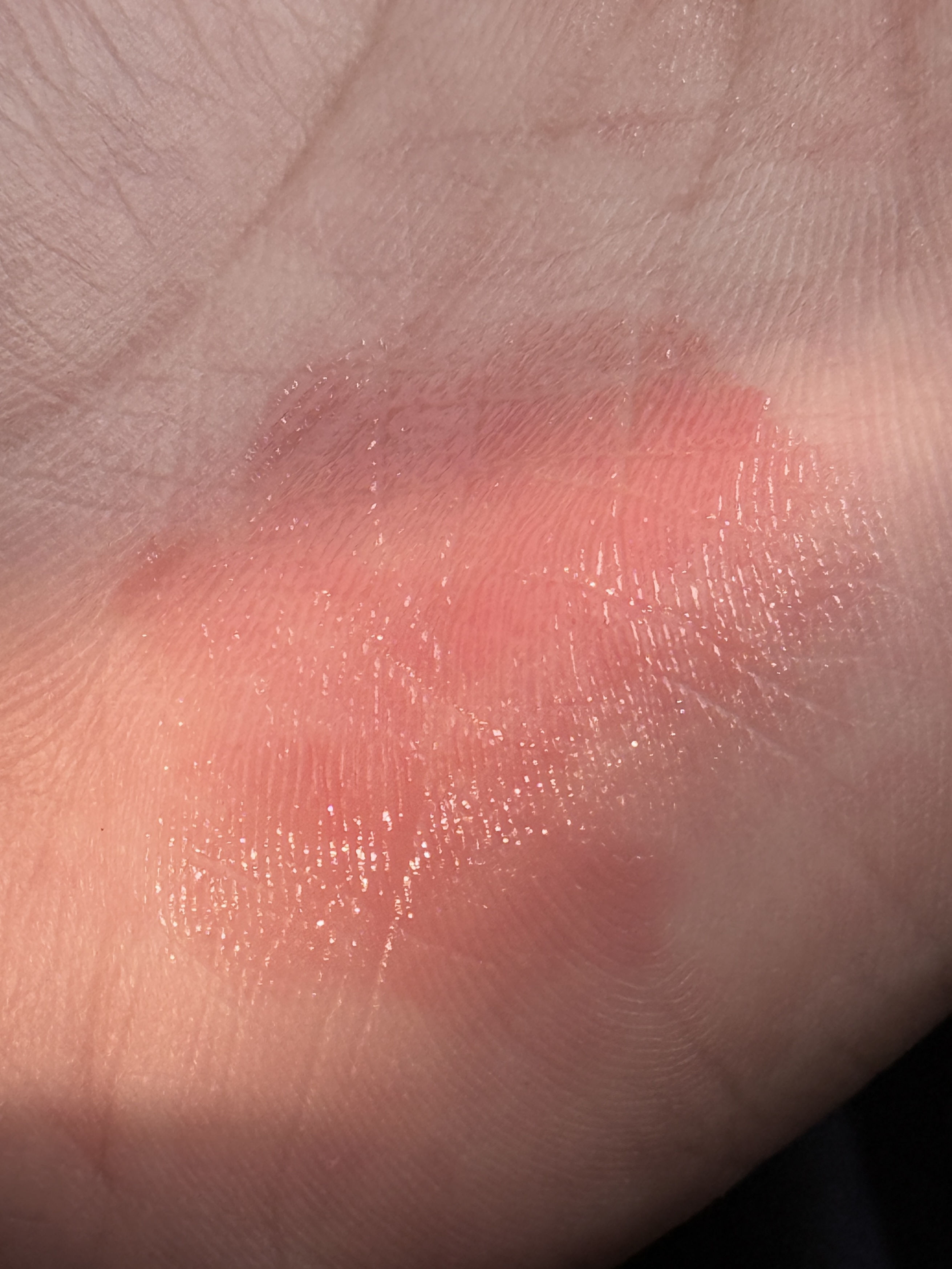 피드이미지정보-4