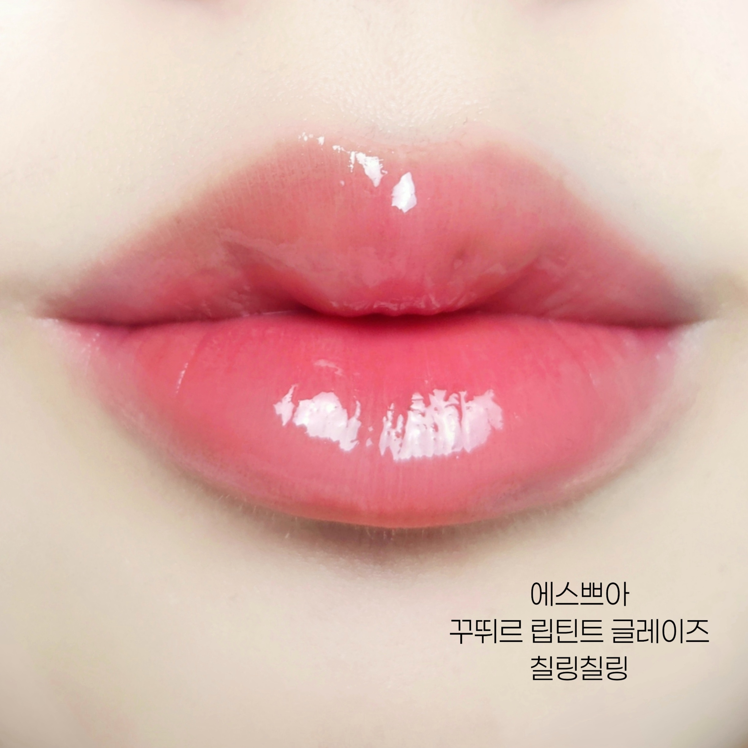 피드이미지정보-1