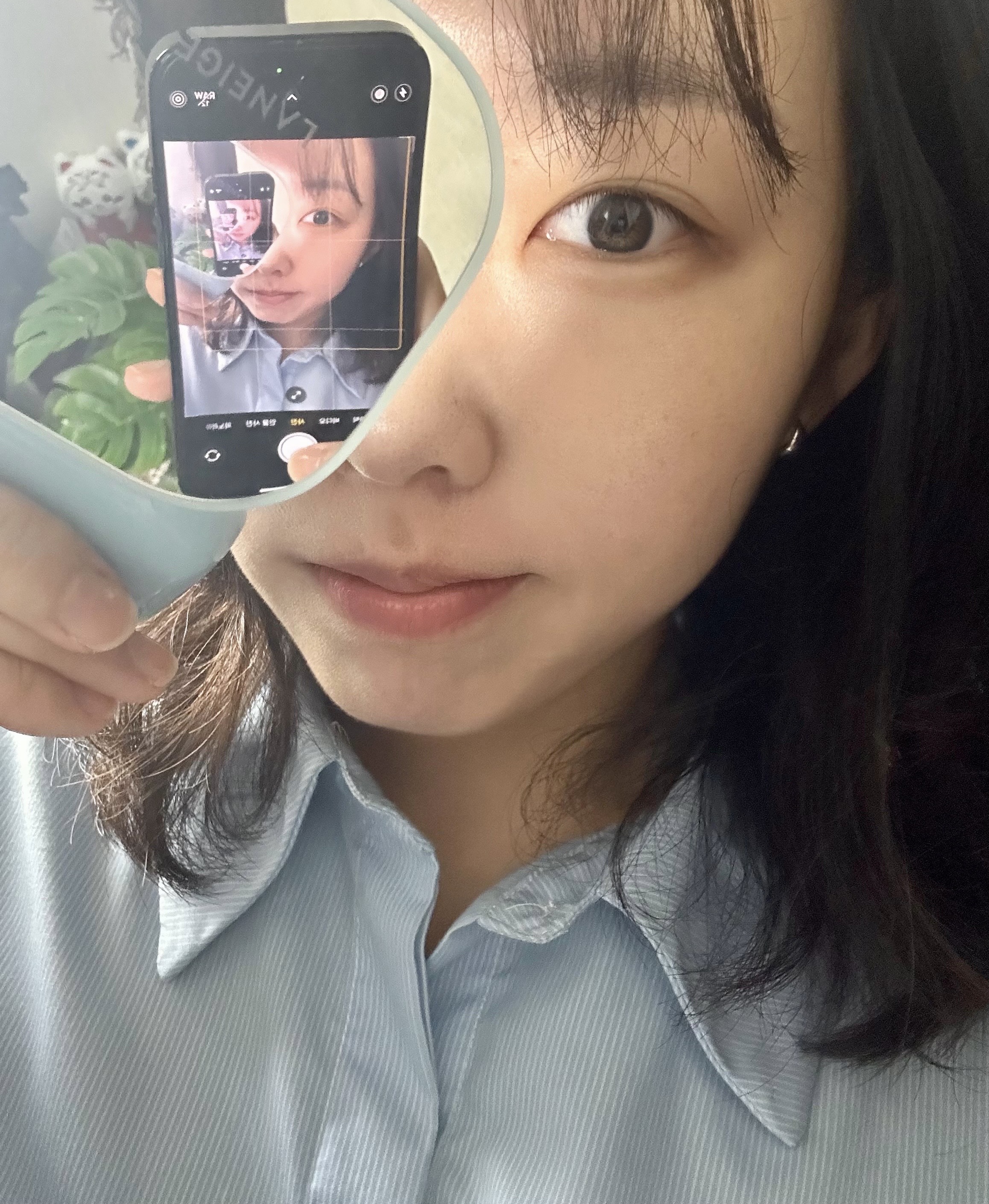 피드이미지정보-0