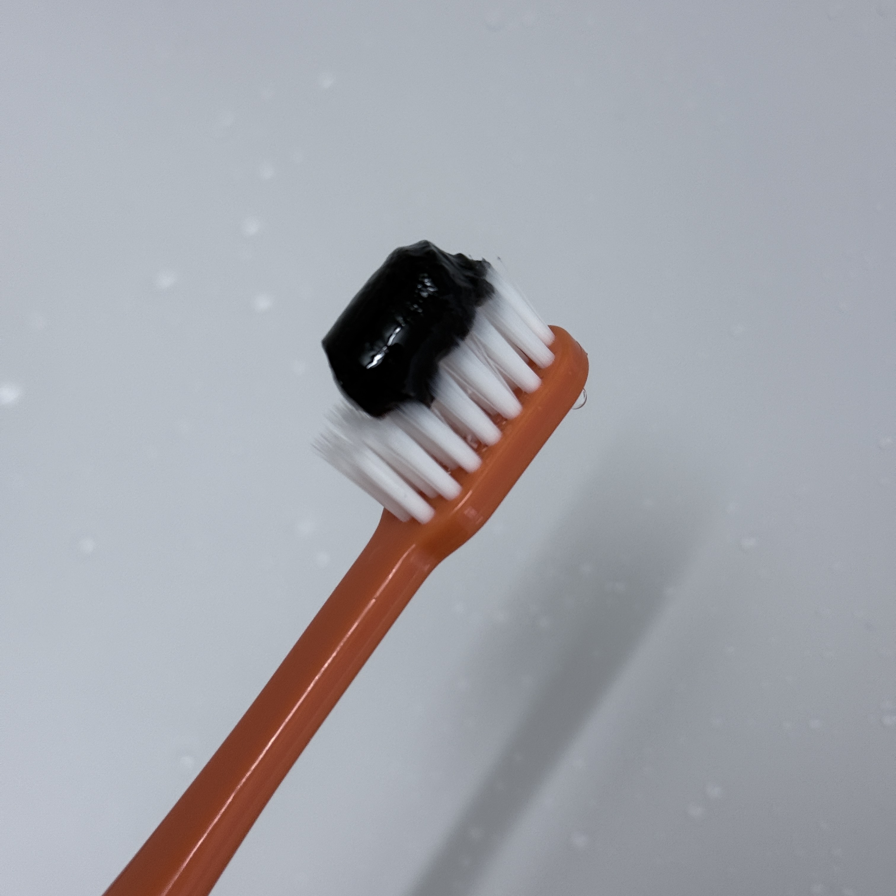 피드이미지정보-4