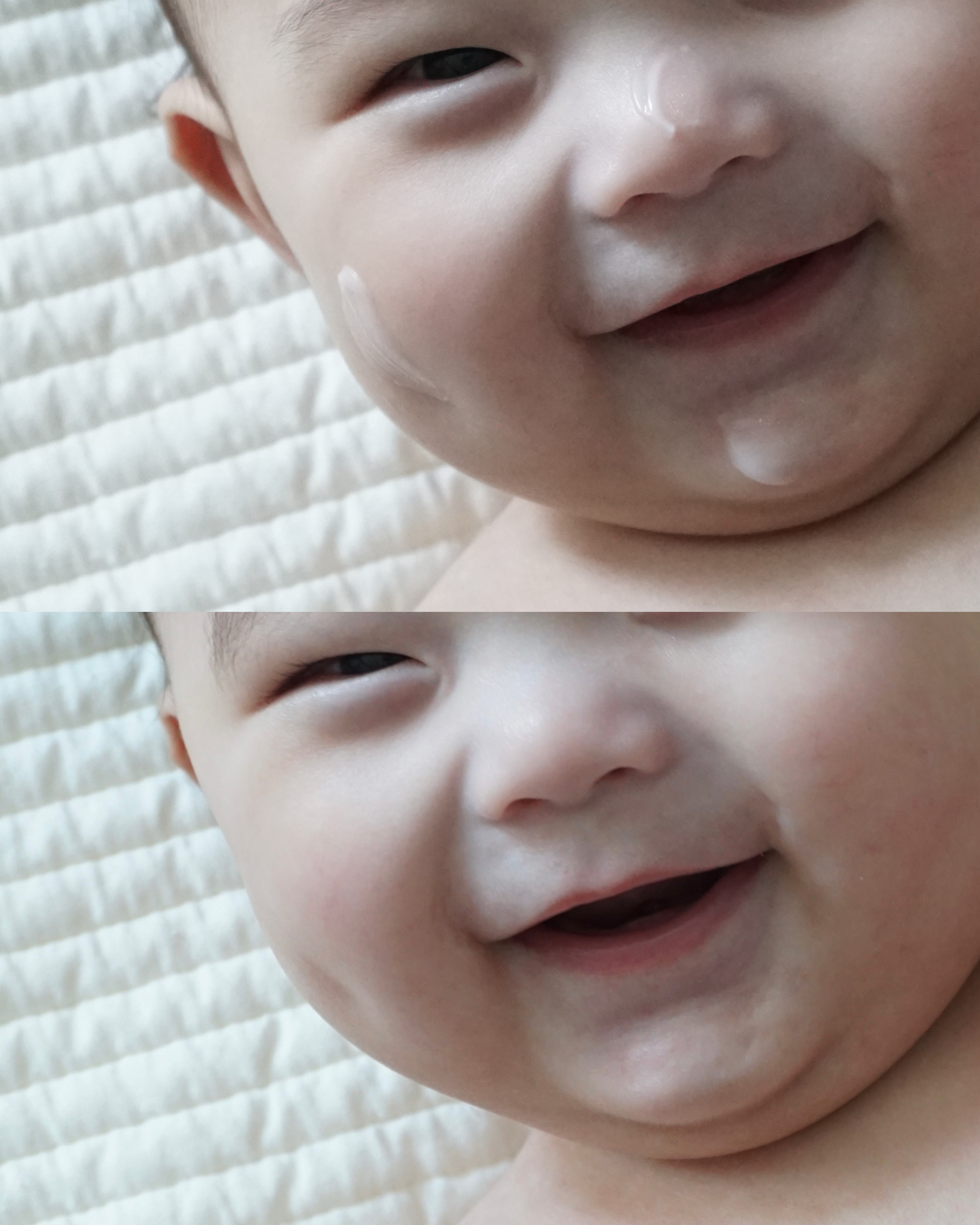 피드이미지정보-1