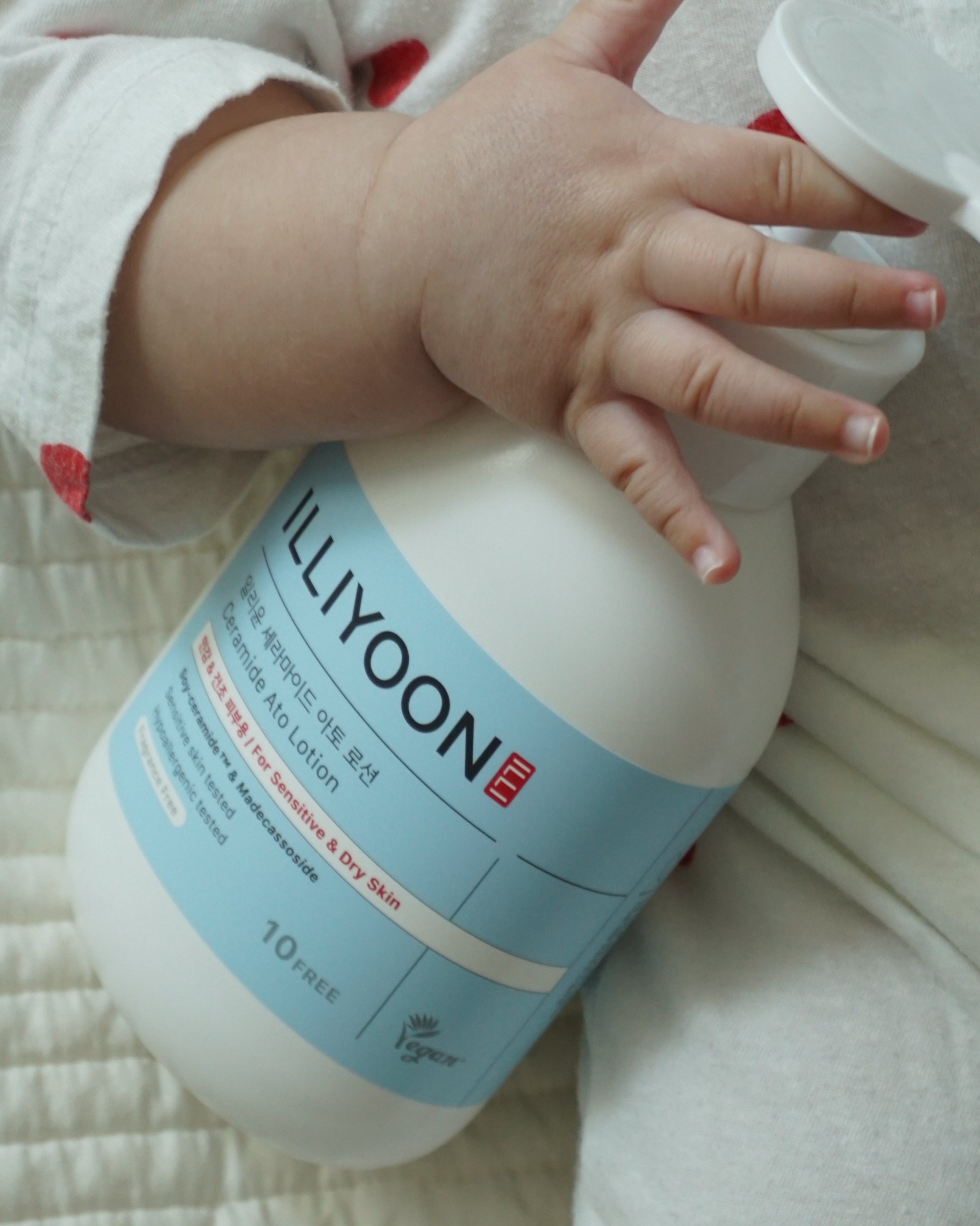 피드이미지정보-2