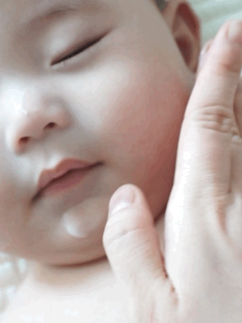 피드이미지정보-0