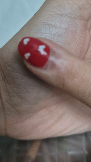 피드이미지정보-2