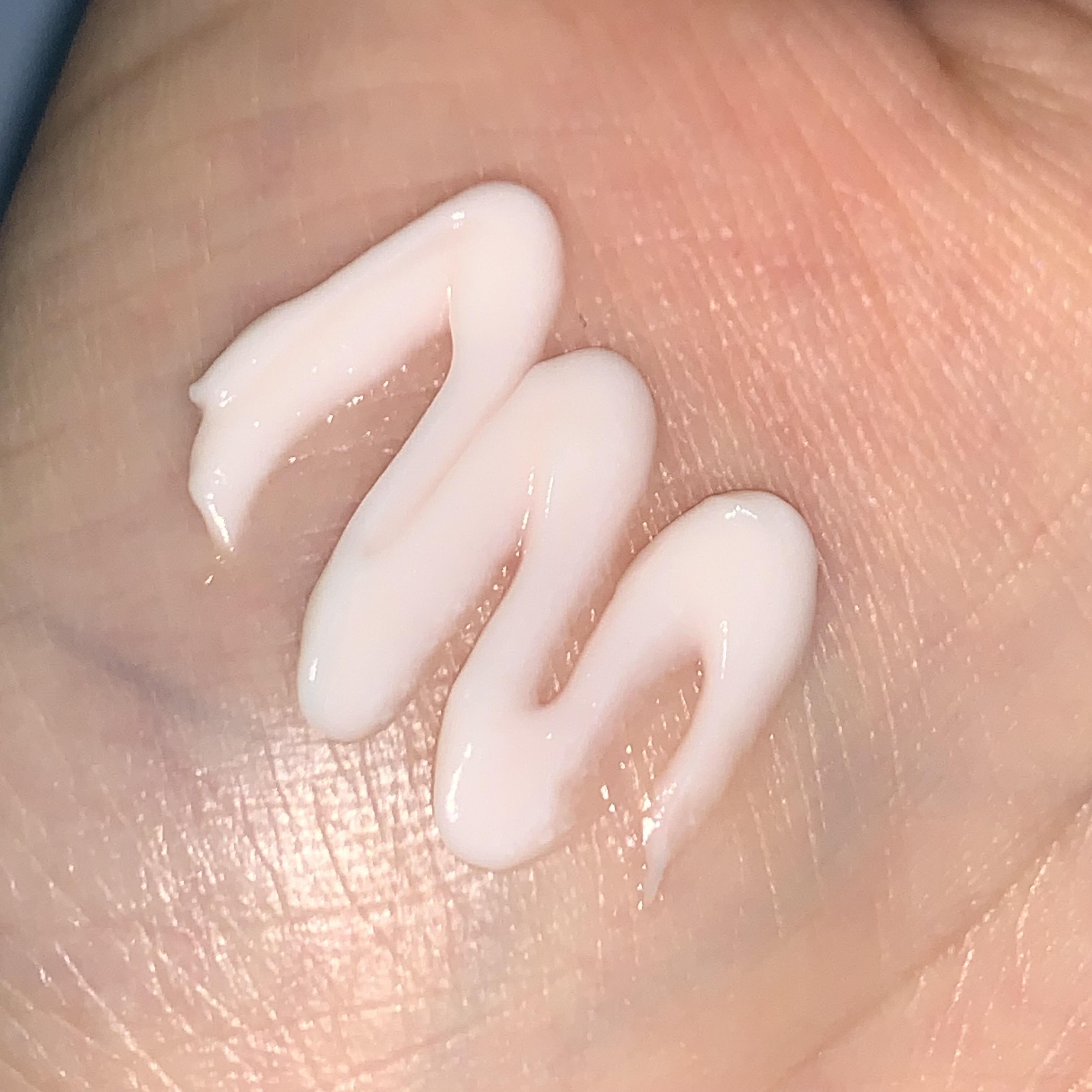 피드이미지정보-4