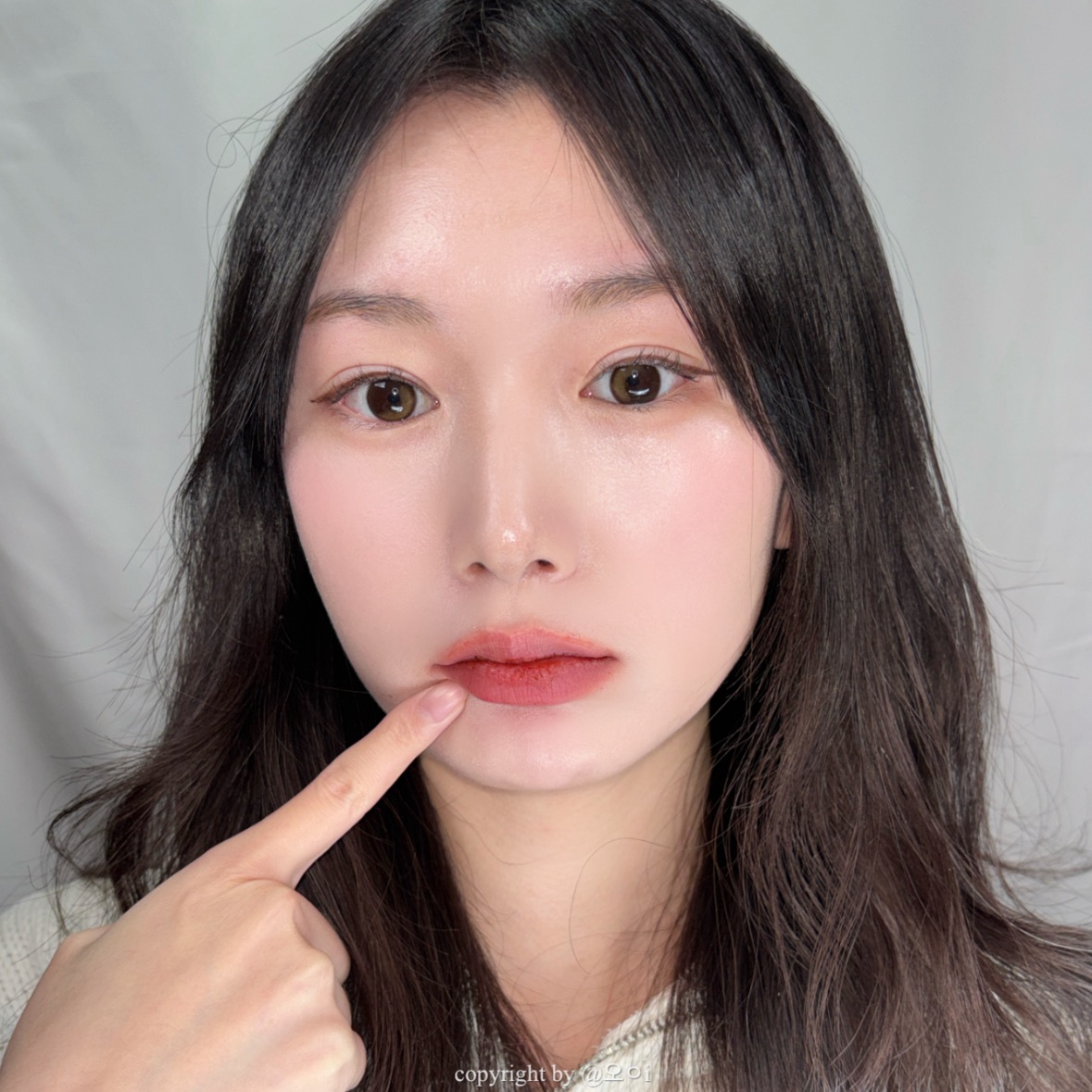 피드이미지정보-2