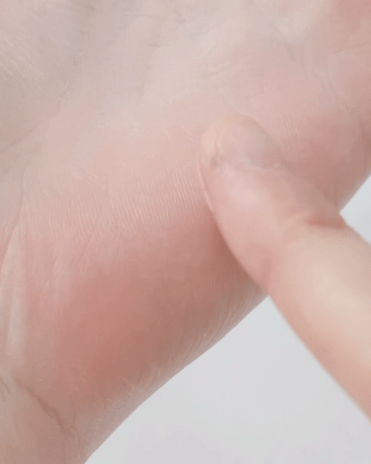 피드이미지정보-4