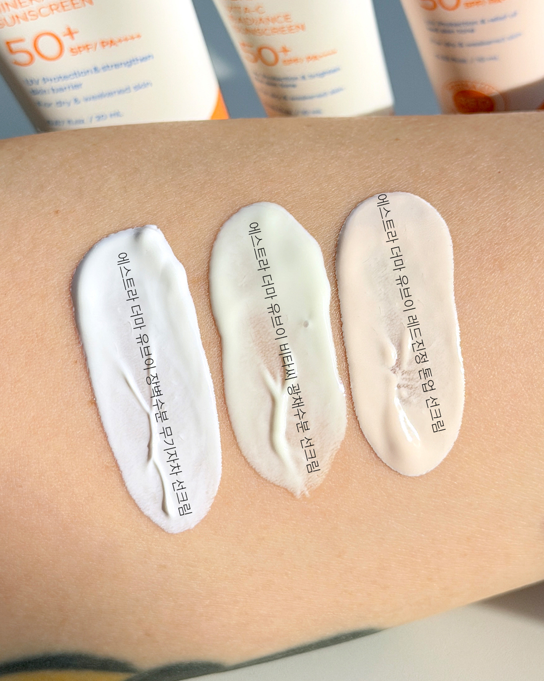 피드이미지정보-8