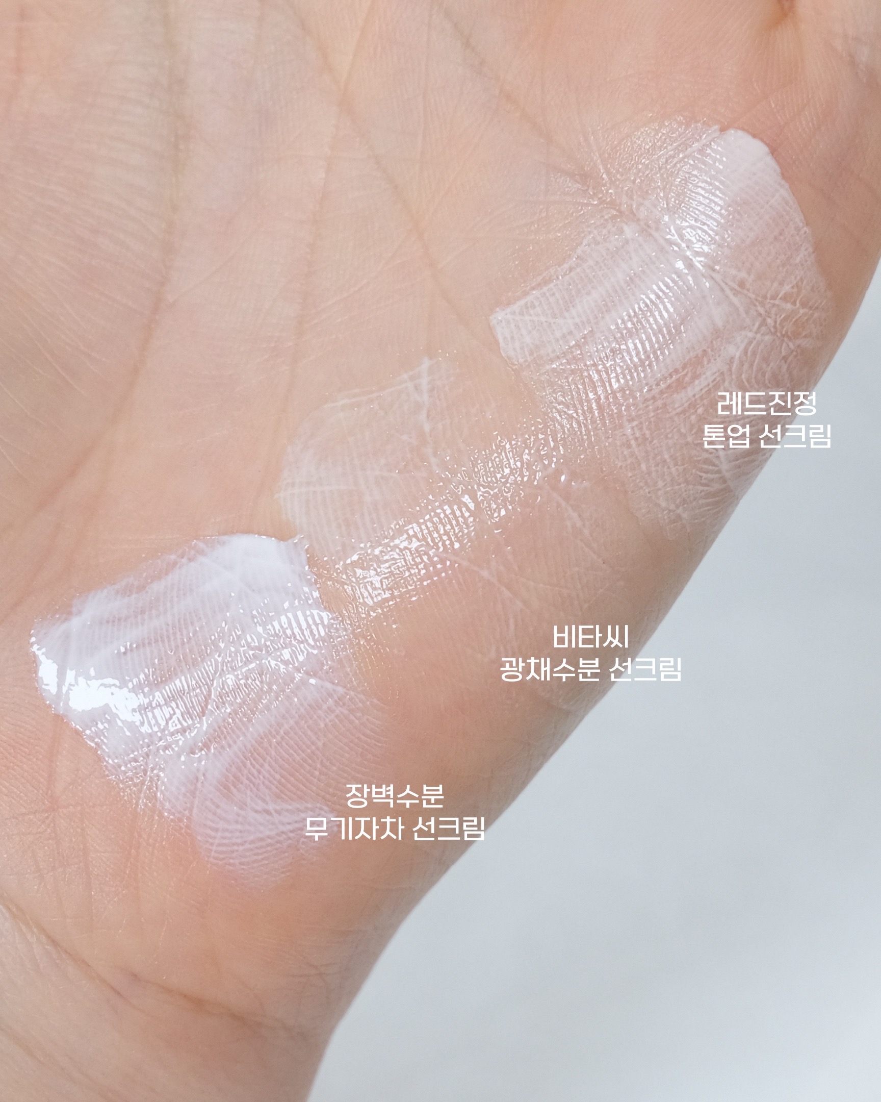 피드이미지정보-3