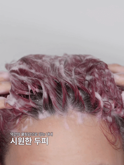 피드이미지정보-2