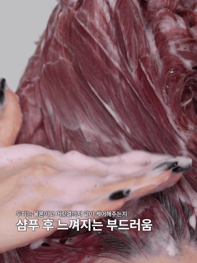 피드이미지정보-3