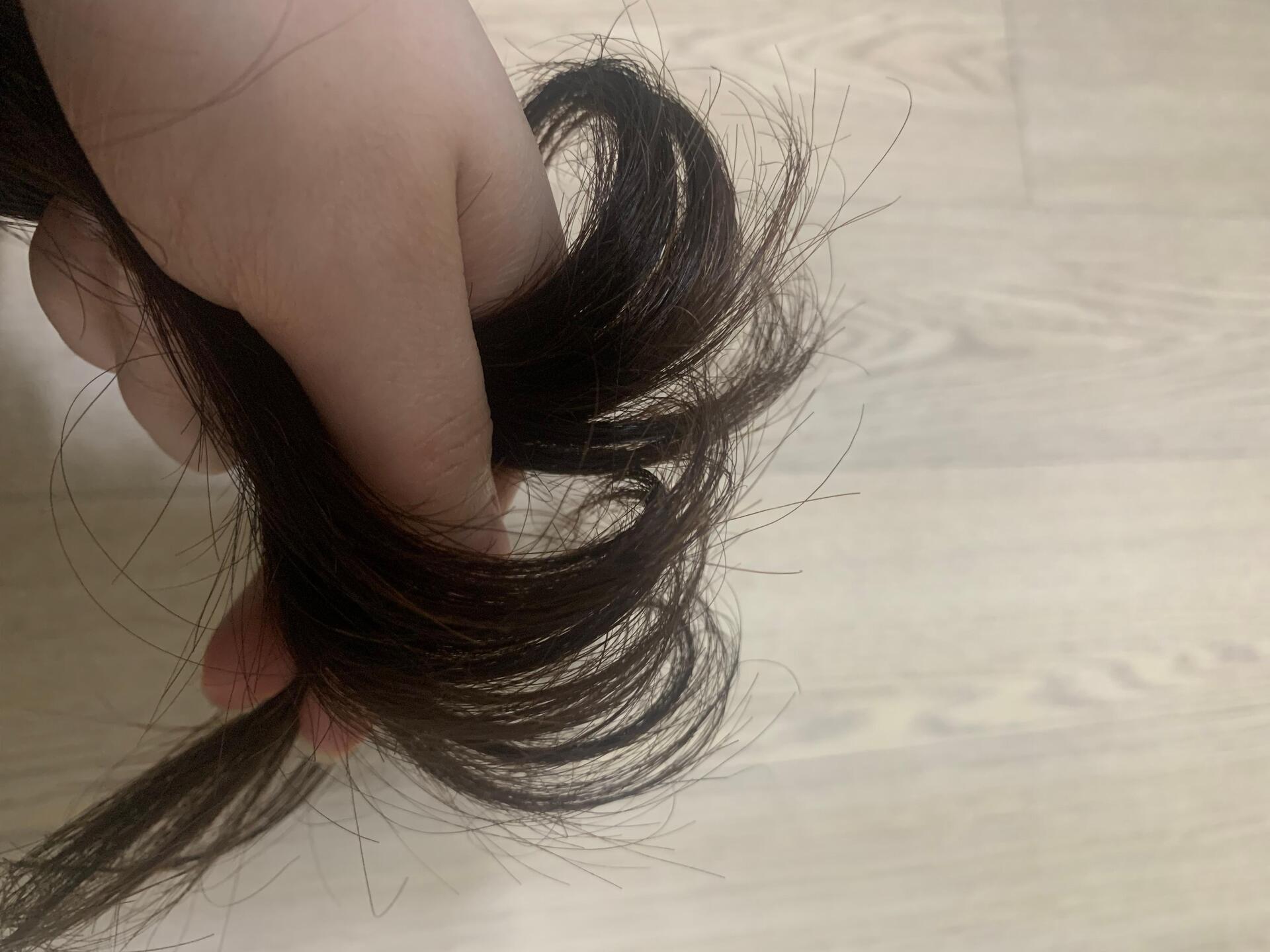 피드이미지정보-0