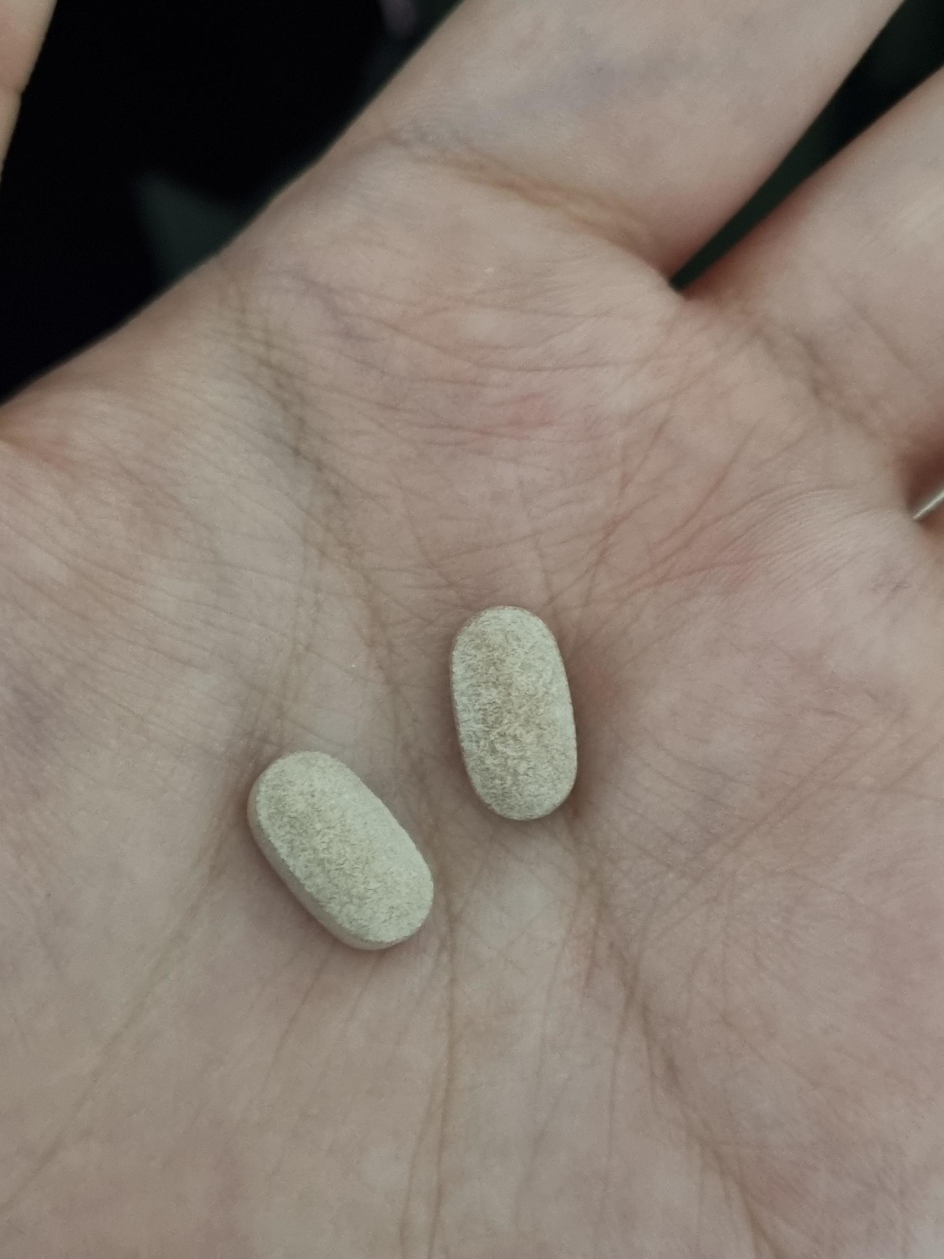 피드이미지정보-2