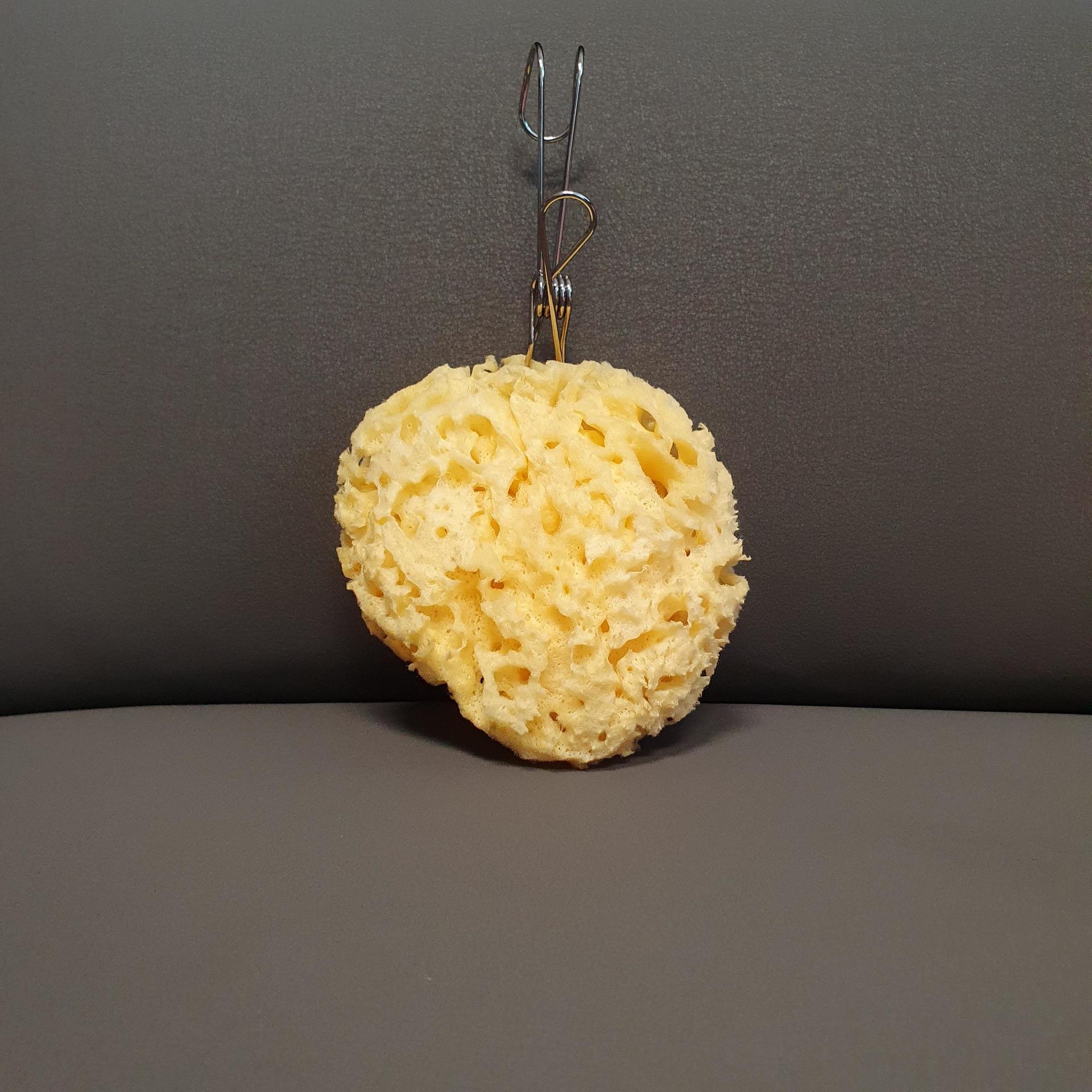 피드이미지정보-1