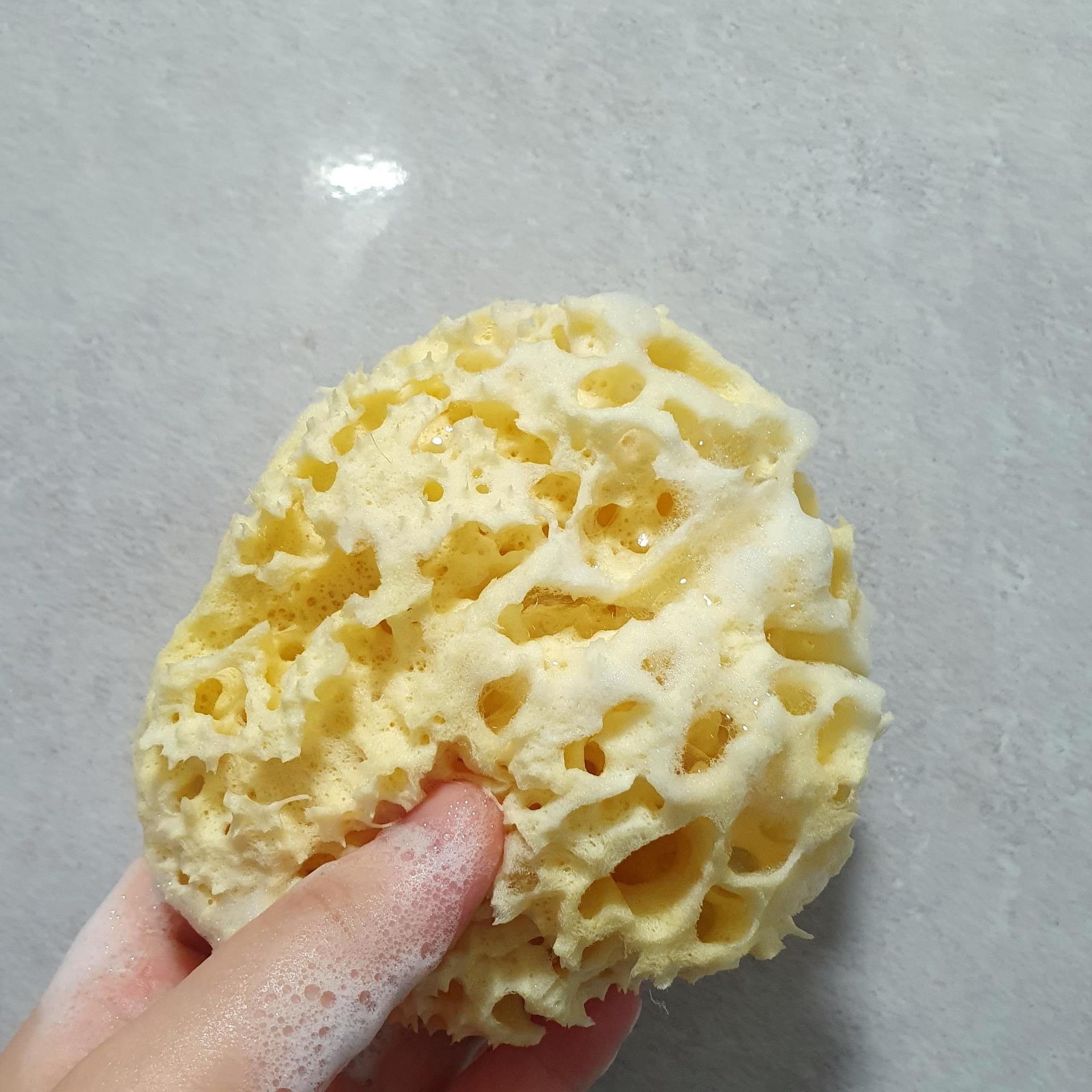 피드이미지정보-2