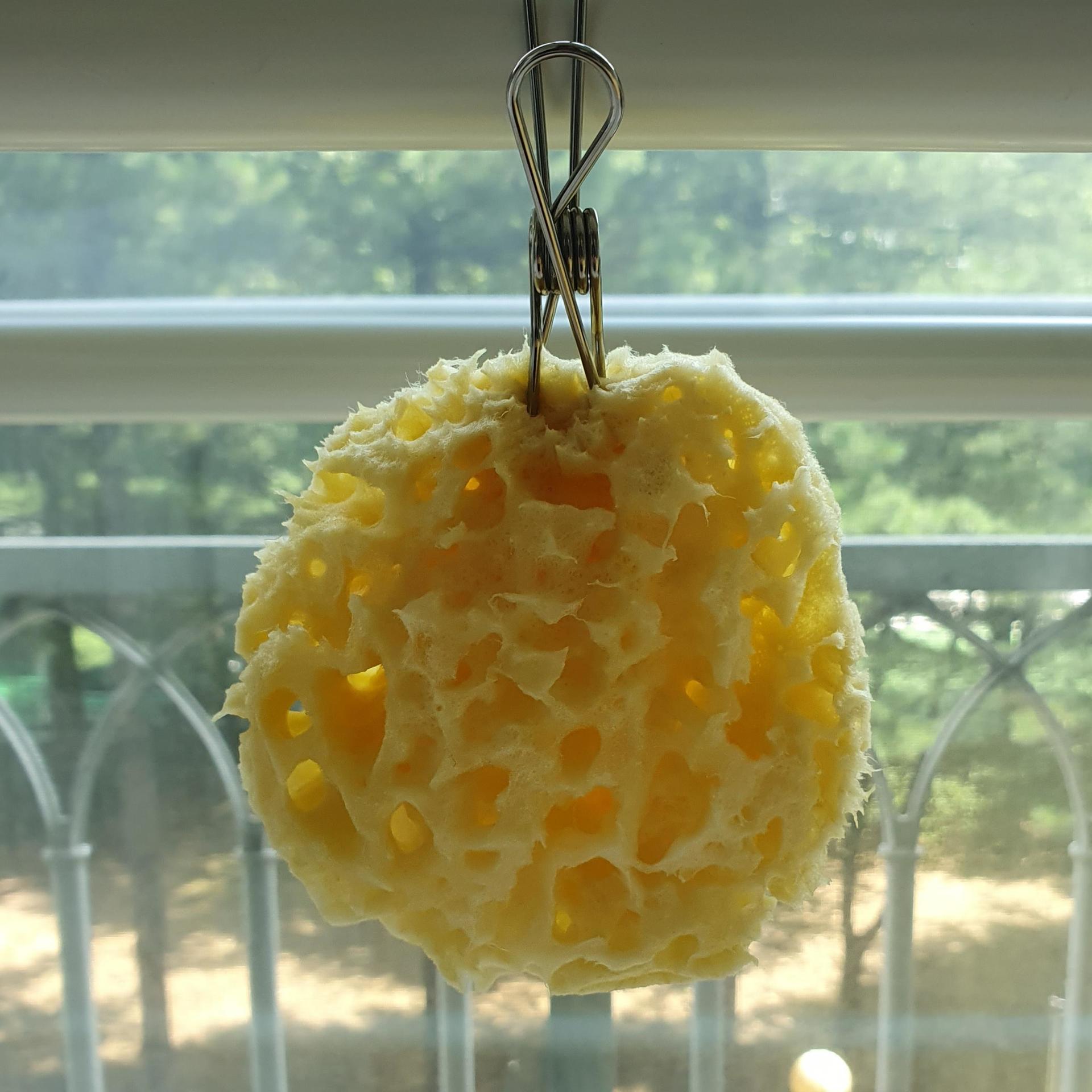 피드이미지정보-3