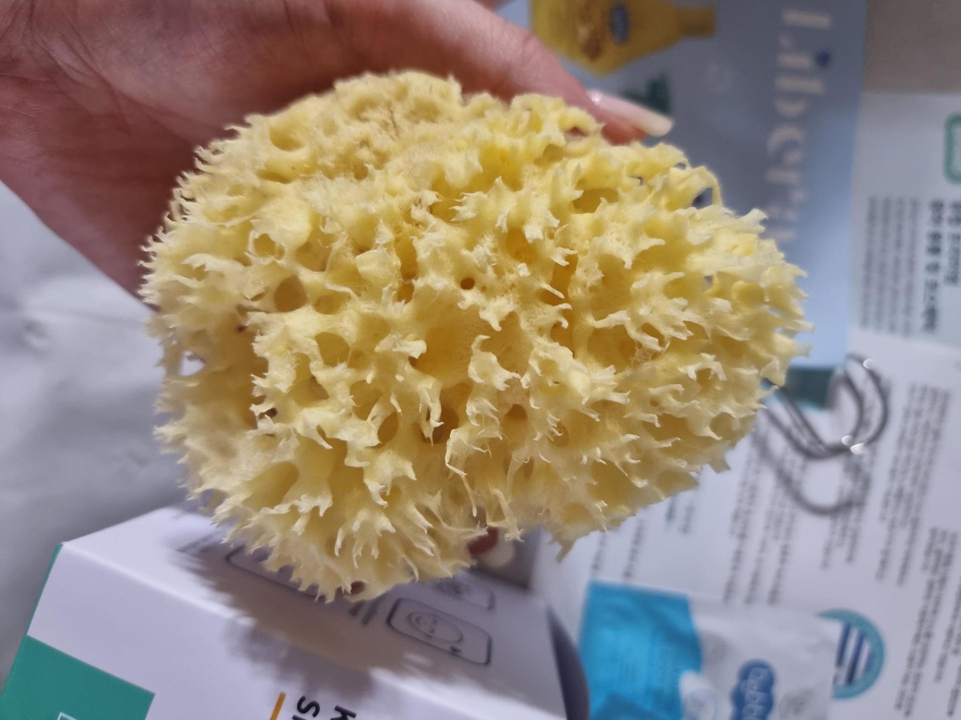 피드이미지정보-1