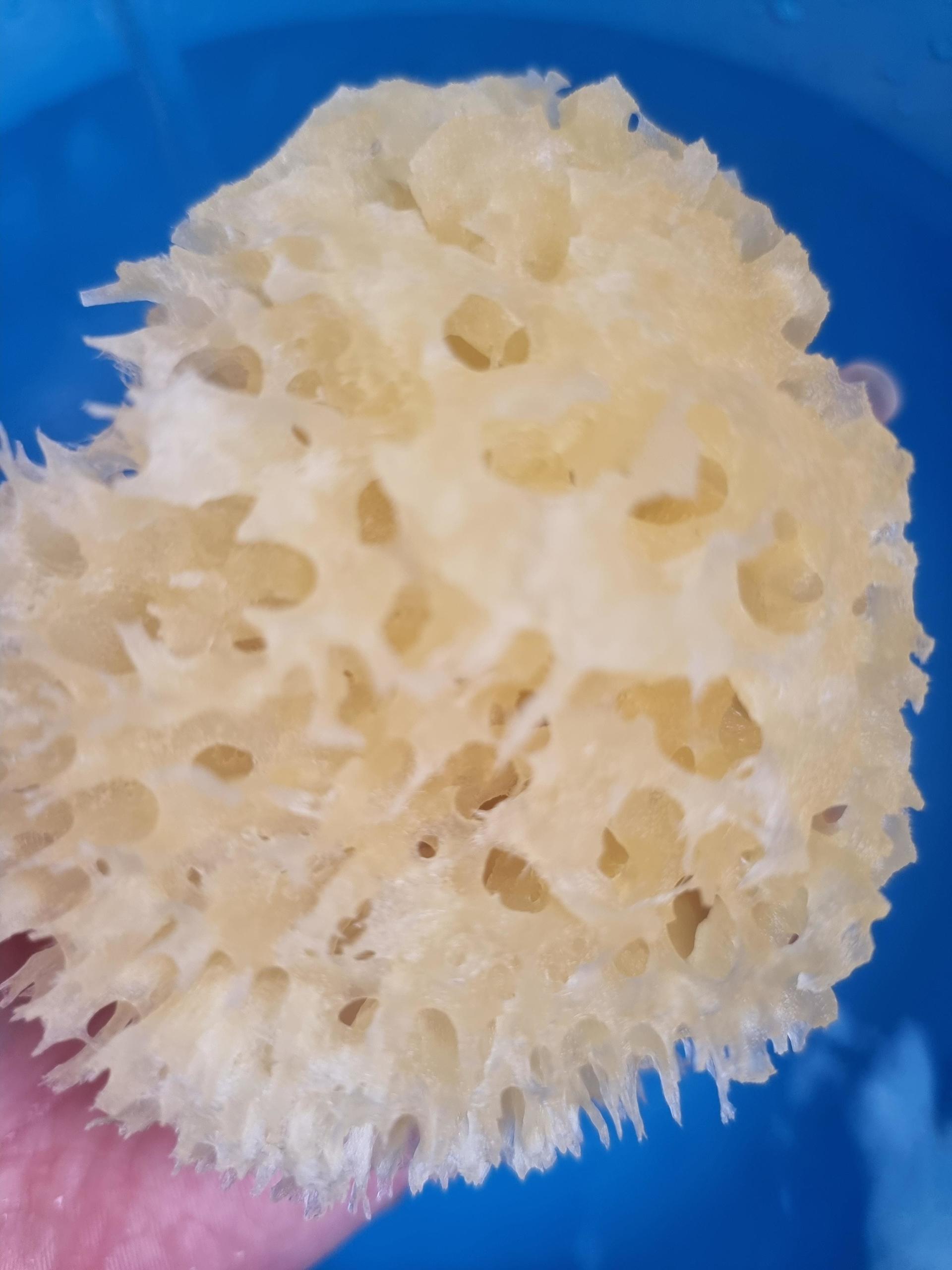 피드이미지정보-3