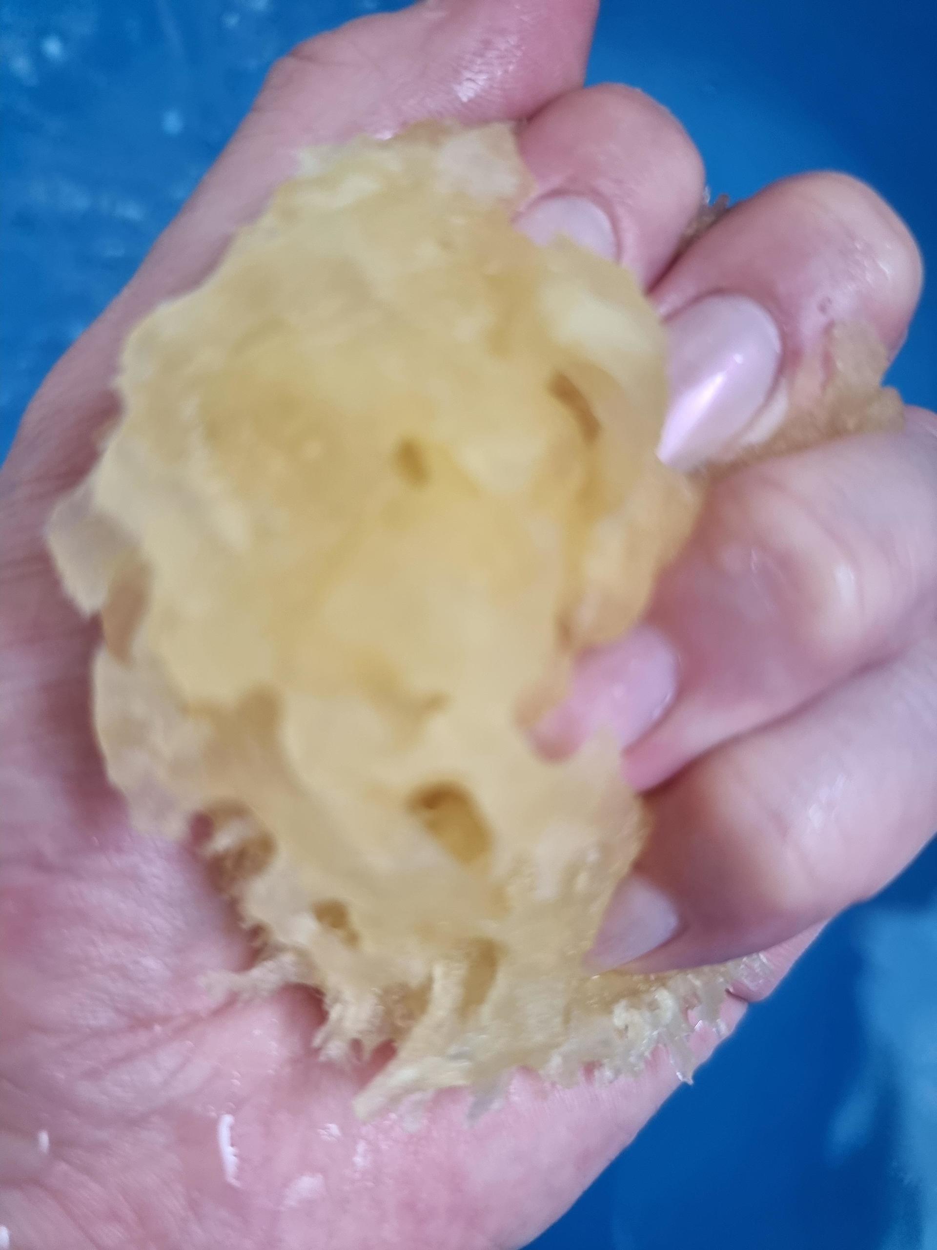 피드이미지정보-4