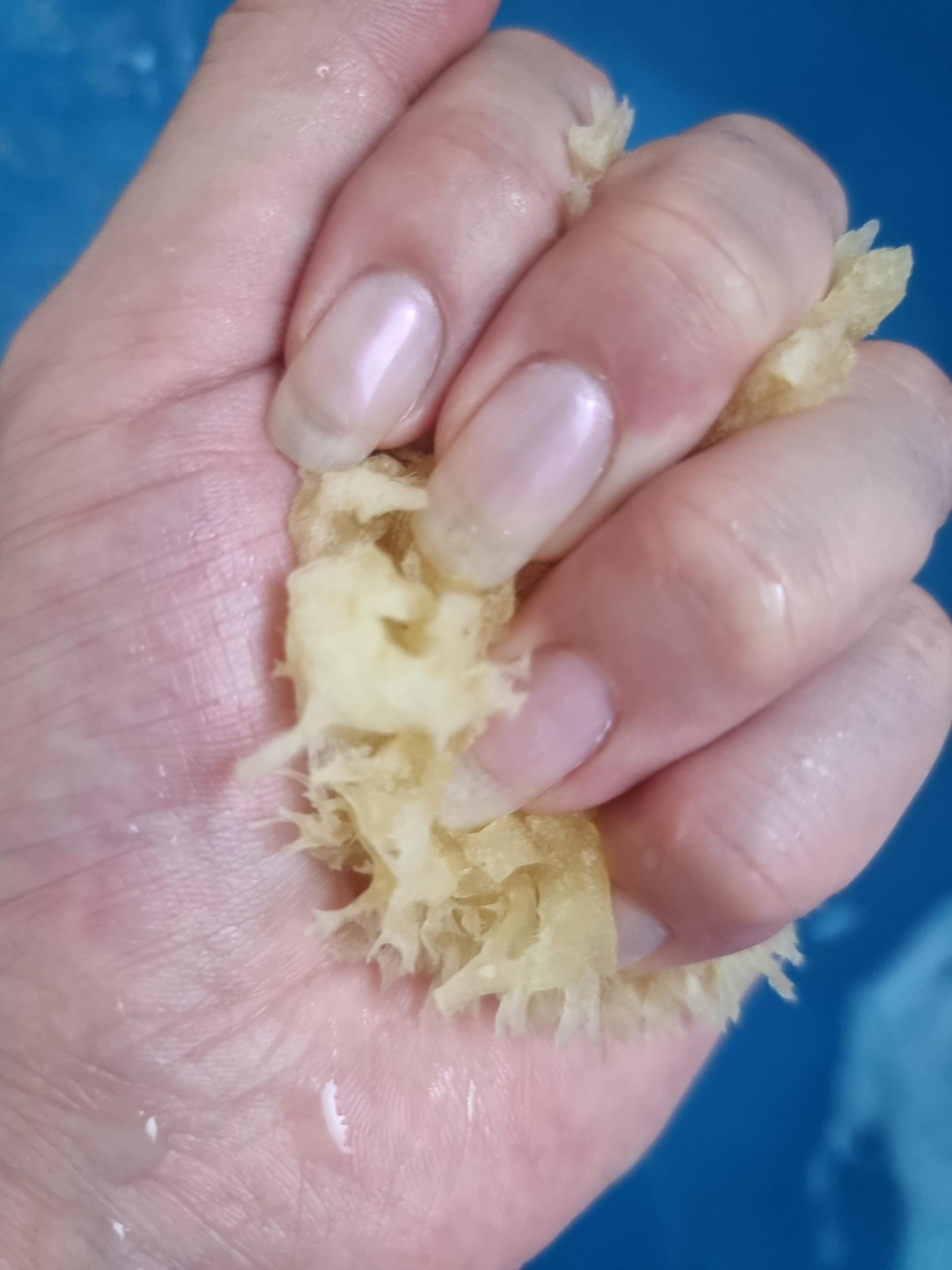 피드이미지정보-5