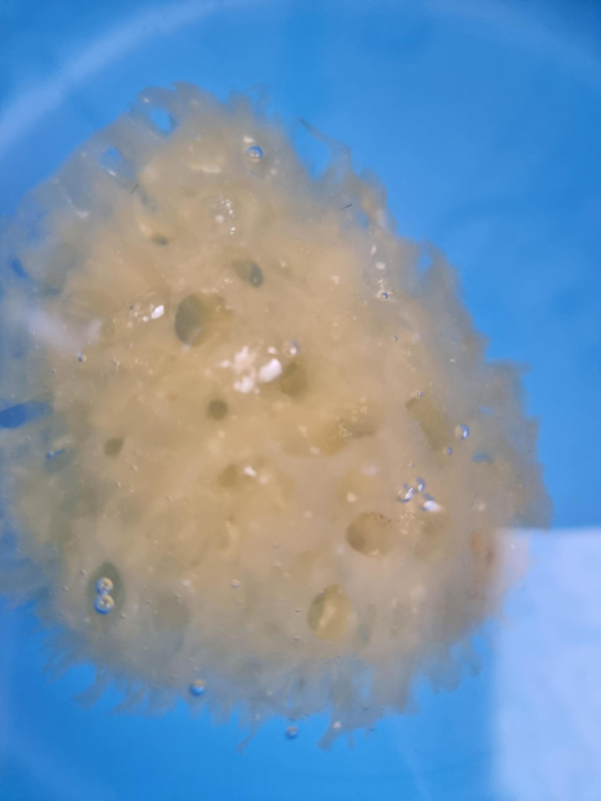 피드이미지정보-2