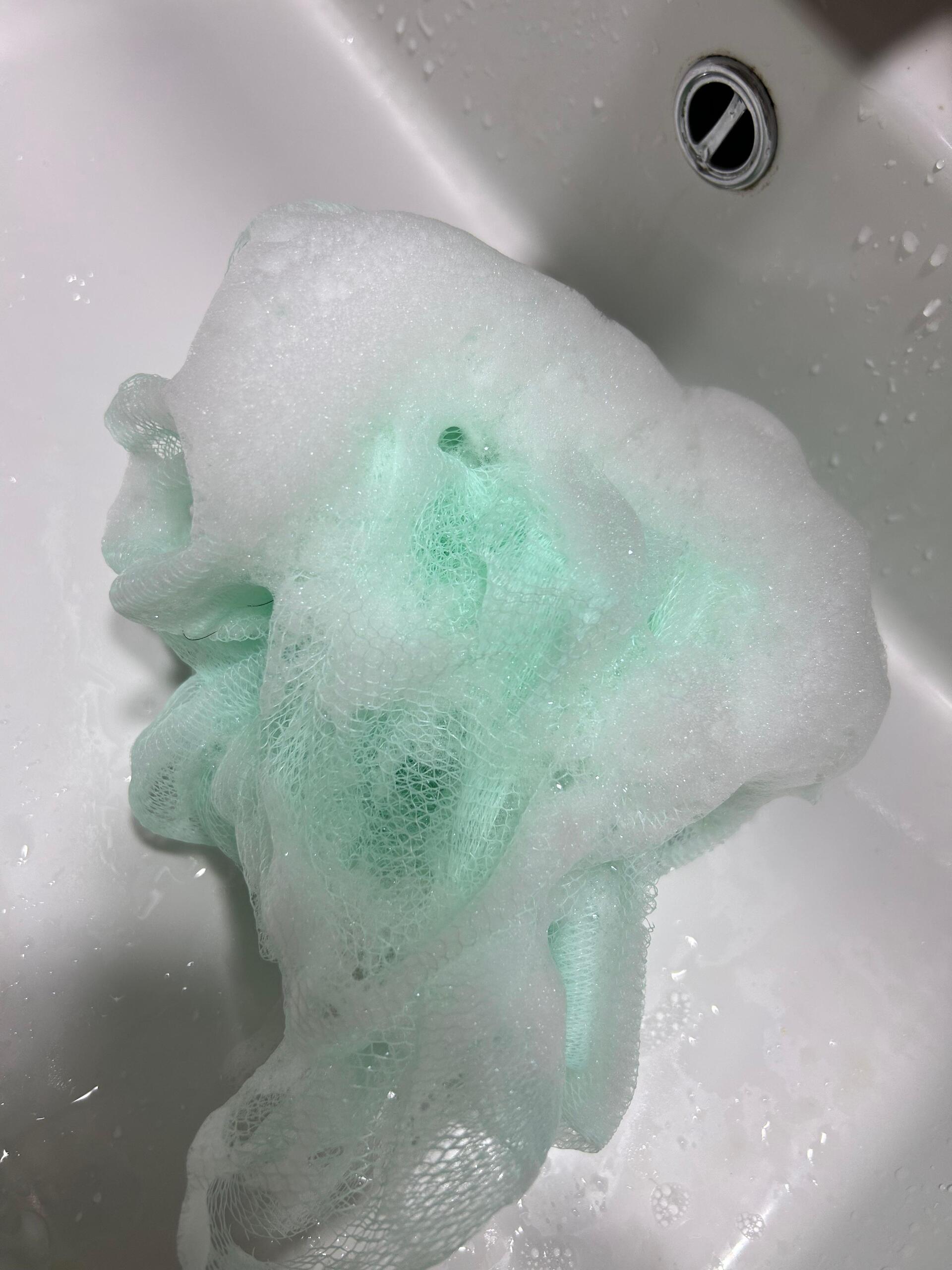 피드이미지정보-3