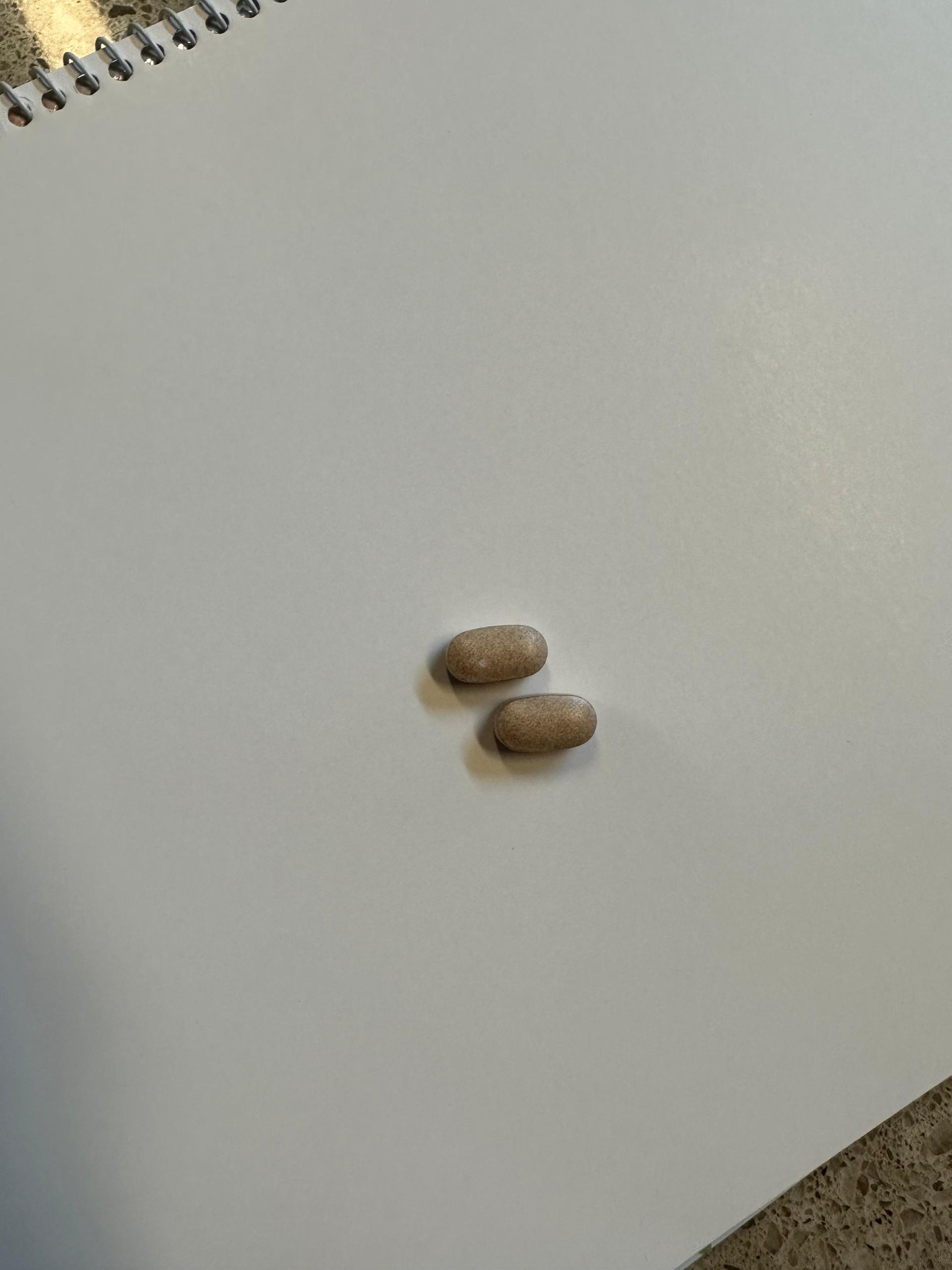 피드이미지정보-2