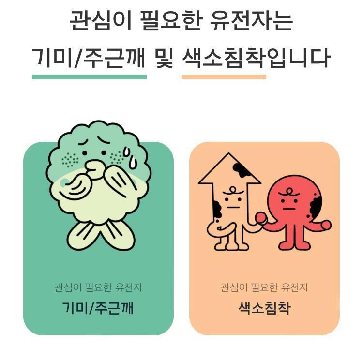 피드이미지정보-0