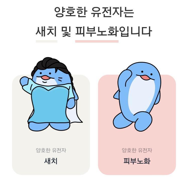 피드이미지정보-1