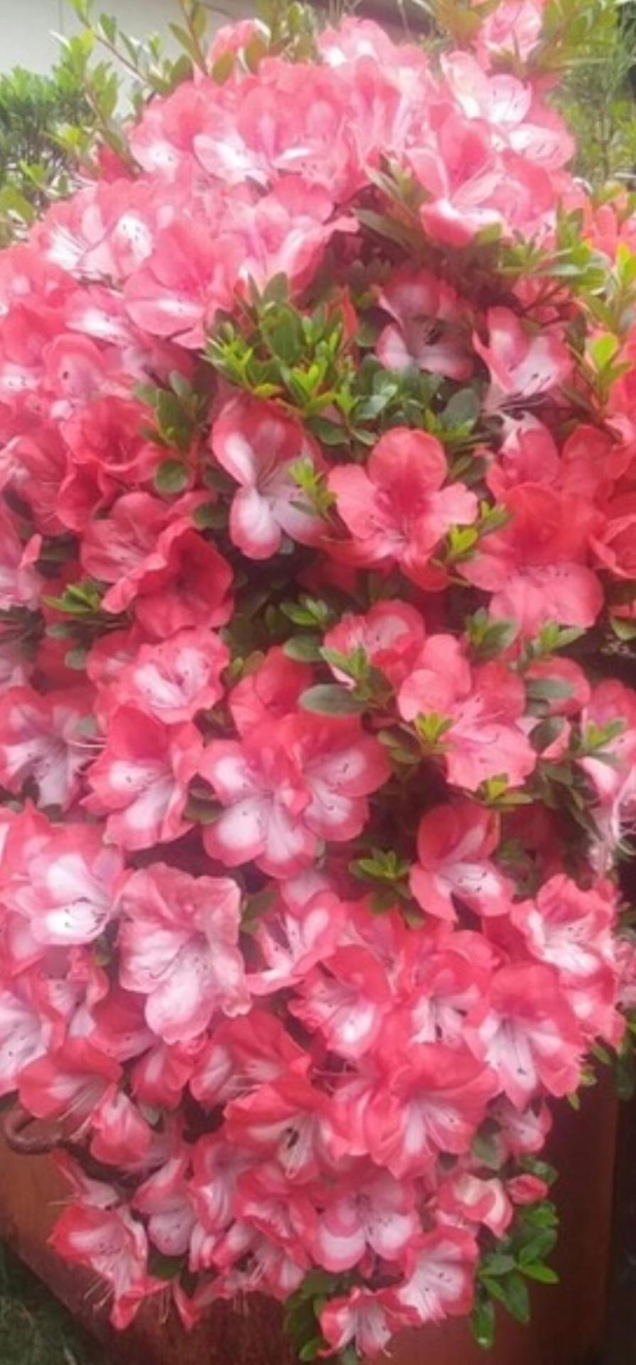 피드이미지정보-0