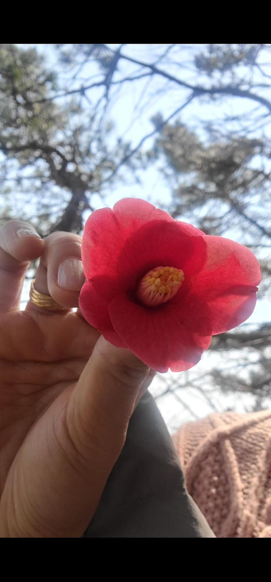 피드이미지정보-0