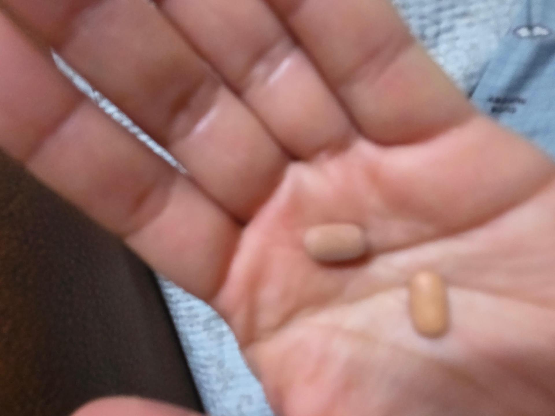 피드이미지정보-0