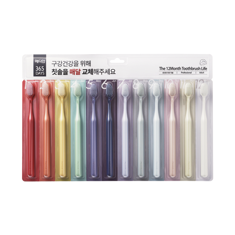 성인용 365DAYS 칫솔 12입